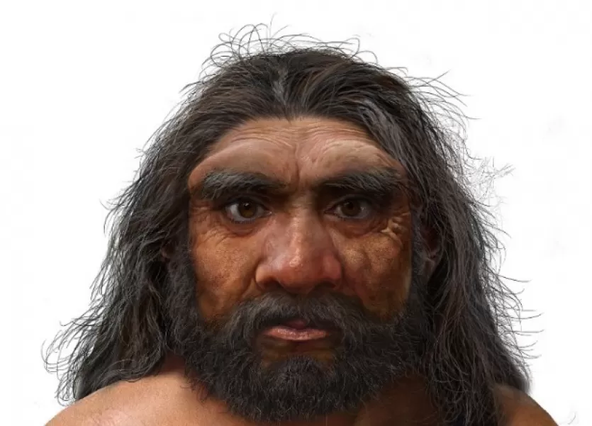 哈尔滨化石头盖骨的艺术重建。这幅插图是一张男性的脸，长着黑色的长发和胡子，大大的浓密的眉毛，宽大的鼻子，棕色的眼睛和浅棕色的皮肤。