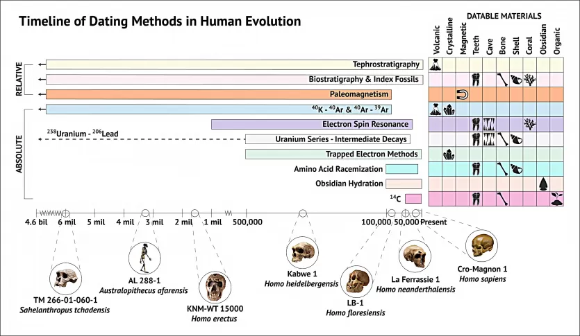 年代测定方法和早期人类化石的图表绘制了从46亿年到现在的时间轴