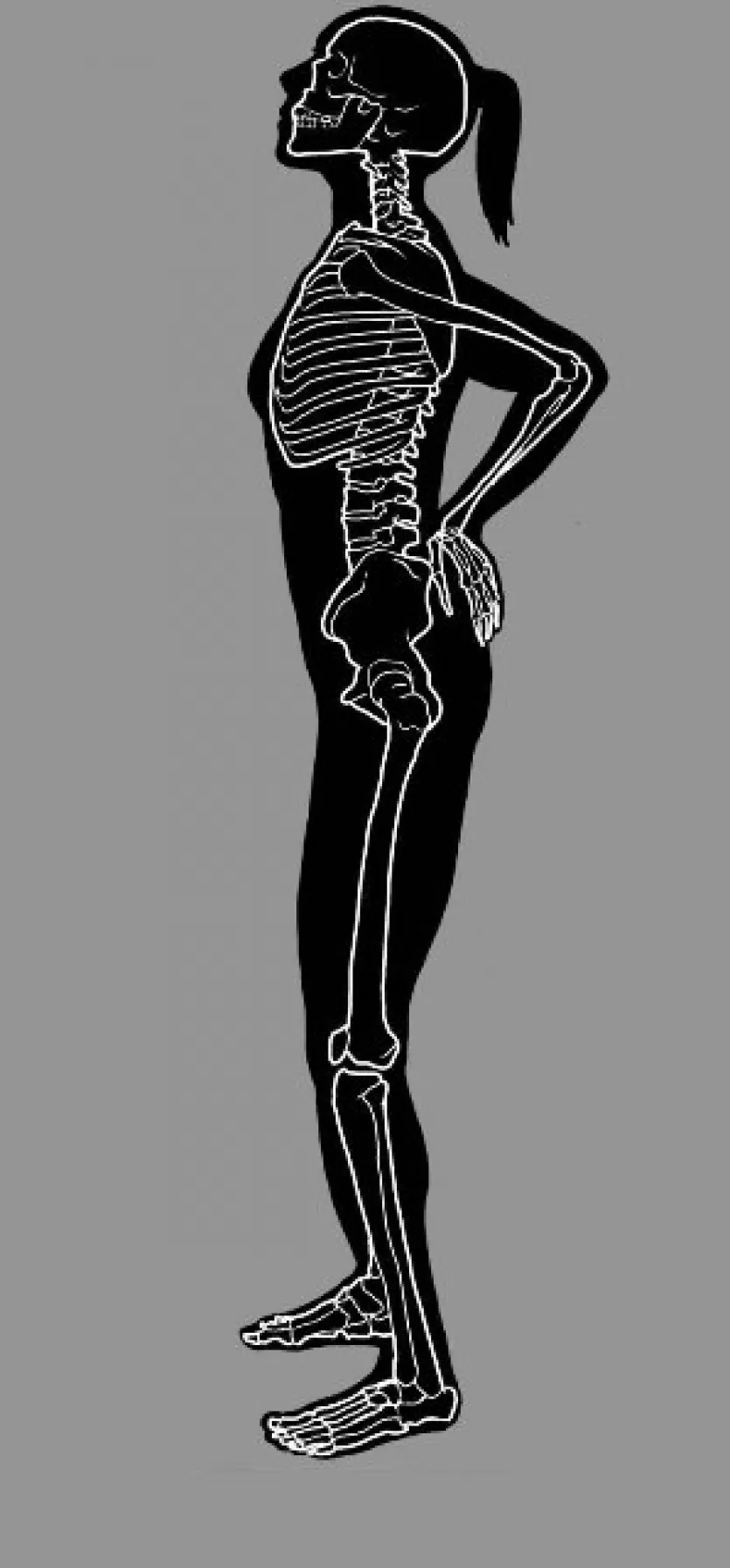 现代人类的轮廓和骨架背部疼痛用两只手的下半部分