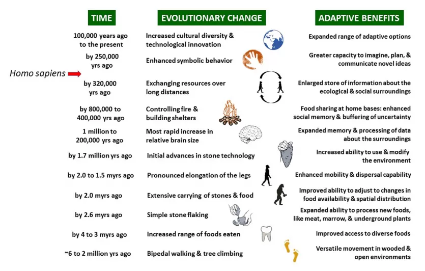 图表说明早期人类进化通过时间和自适应的好处