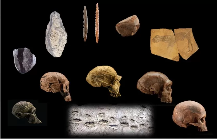 从壁画石器,符号,早期人类祖先头骨的概要文件,随着时间的推移和脚印的证据显示人类的适应性