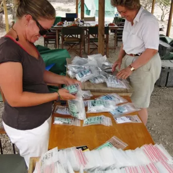 两名妇女站在研究营地阴凉处的桌子两边，正在整理许多贴有标签的塑料密封袋