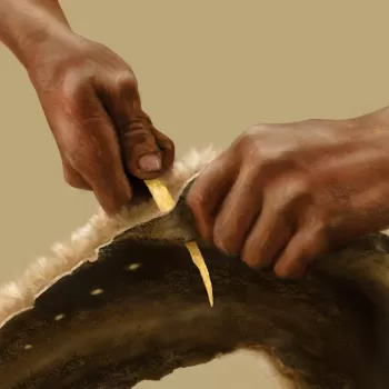 现代人类的手切割动物的皮来制作衣服的图像。