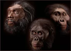 早期人类——面部重建