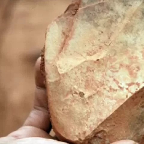 视频缩略图,一只手拿着一块石头工具从“幸存者……”