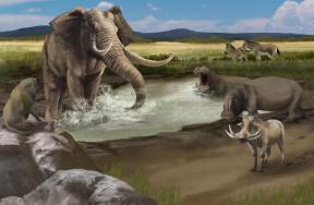 人类在Olorgesailie遇到了各种各样的动物。图像中一些动物是大象和河马。图片由卡伦卡尔工作室。