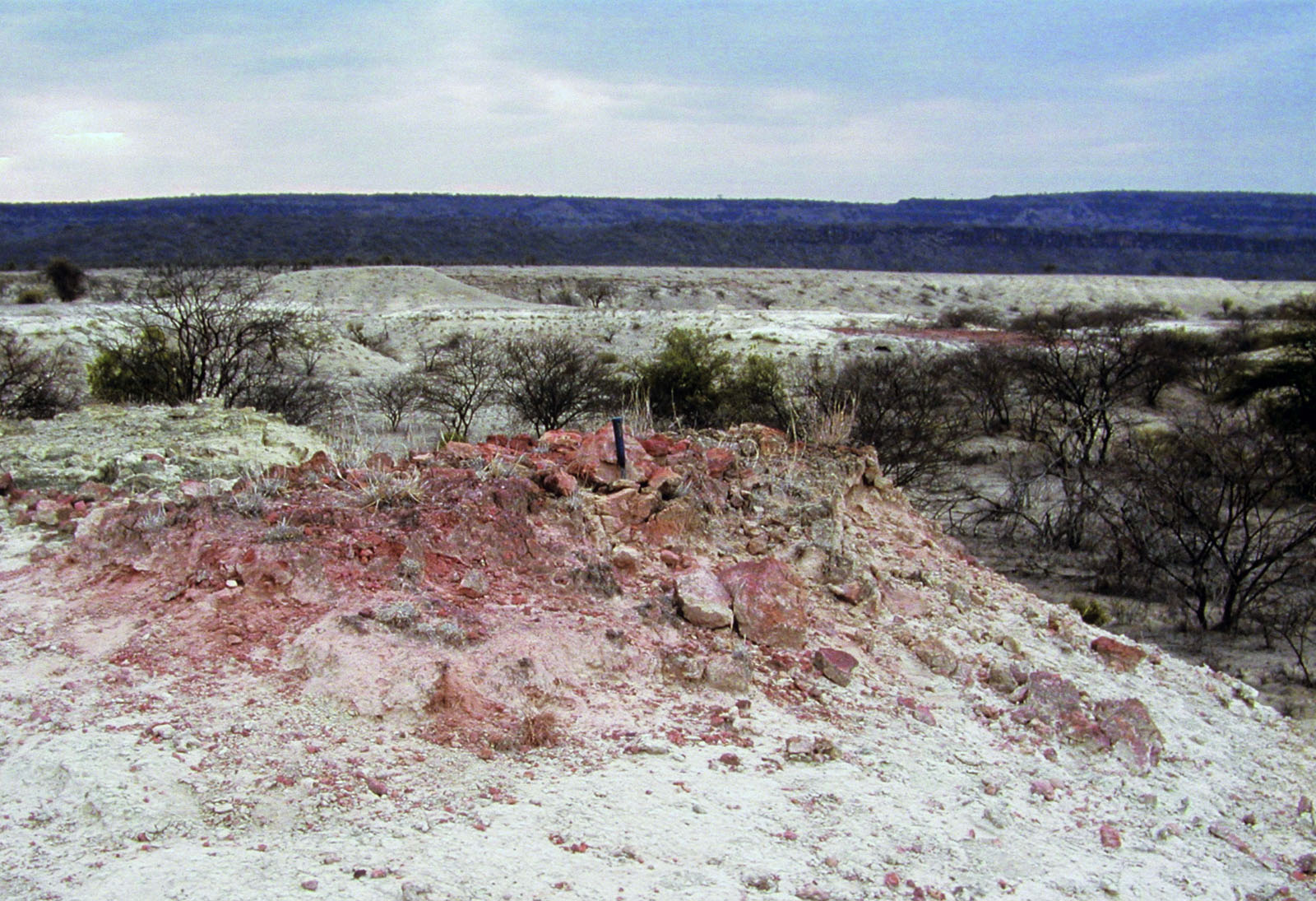 发红了沉积物反映了燃烧dessicated植物仍埋在硅藻土沉积物,表明湿和干之间的严重的气候变化。图片由理查德•Potts史密森学会。2022足球世界杯参赛队
