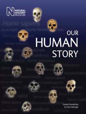的封面“人类的故事”路易斯·汉弗莱和克里斯·斯特林格包含多个头骨漂浮在黑暗的蓝色背景