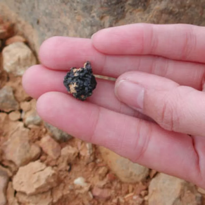 从玻色大理石大小,黑色的玻陨石,中国研究人员的手。