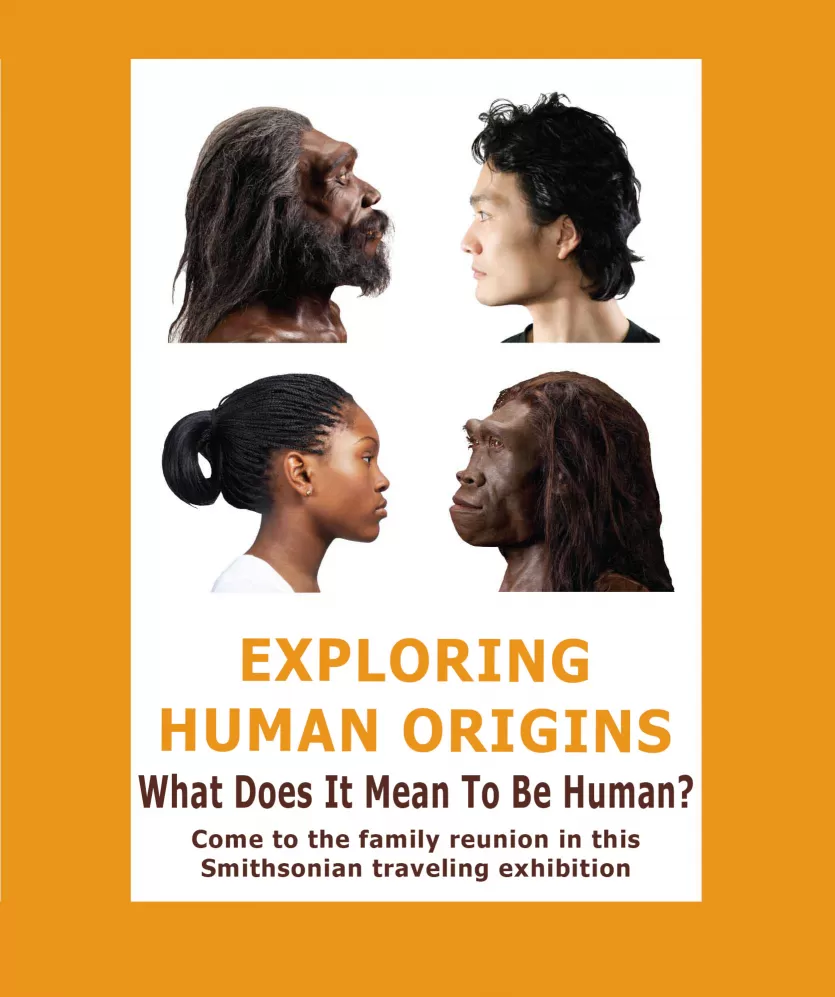 海报展览旅游人类起源与现代人看早期人类祖先重建