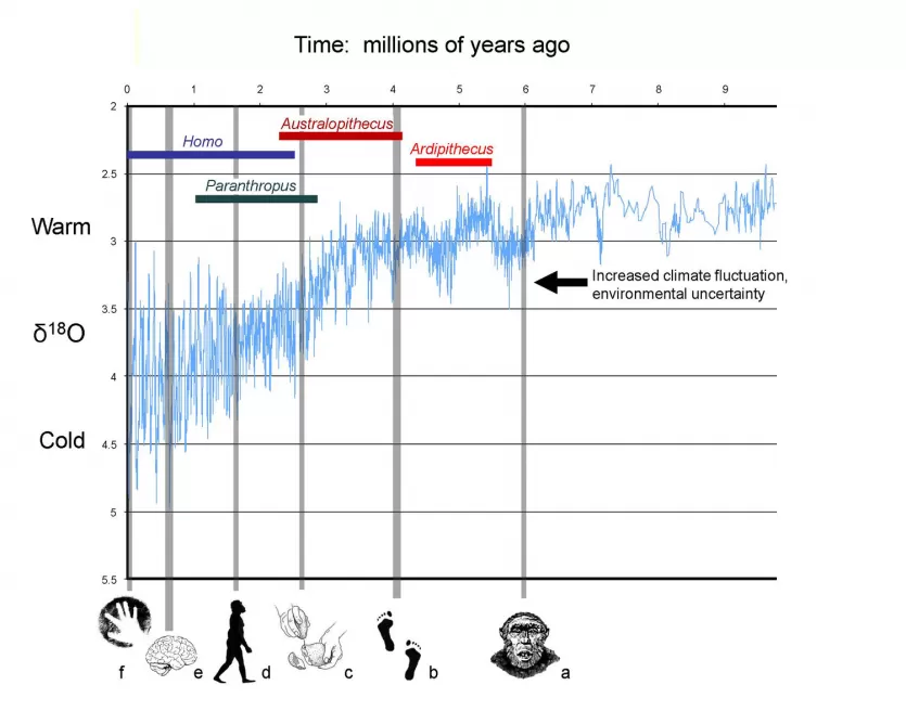 氧同位素曲线(δ18O)在过去1000万年里主要适应智人高亮显示