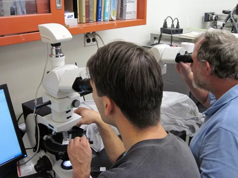 Rene Dommain和伯尼•欧文并排坐在实验室的长椅上看着显微镜。