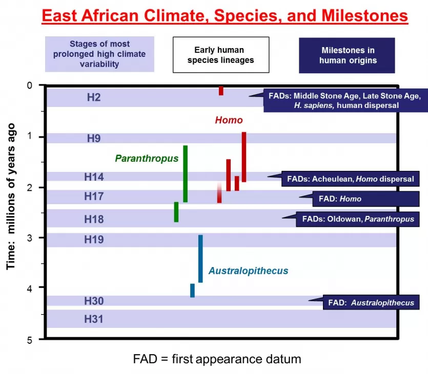 一个图表描述早期人类血统之间的密切关系,技术创新,东非最长的气候变化强烈的时期。