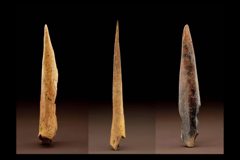 三个布隆伯斯洞穴骨骼锥子都认为和一端尖点