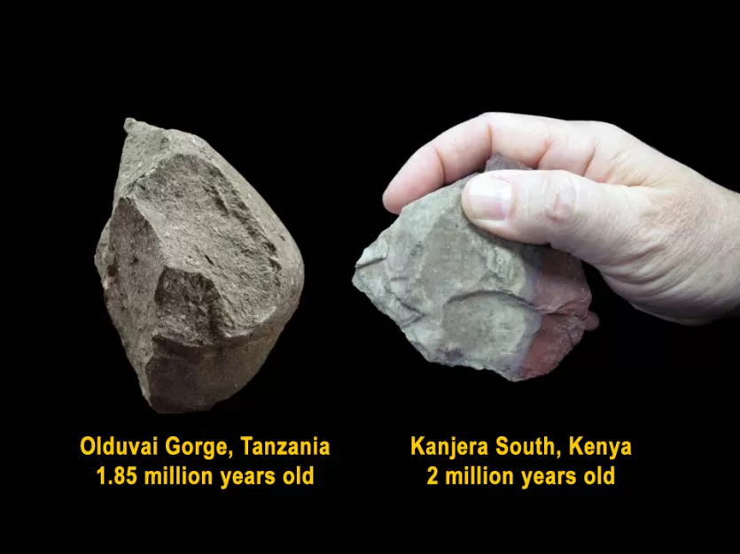 简单的石器和粗糙的边缘。一个来自坦桑尼亚的奥杜威峡谷,185万岁。一个来自Kaniera南在肯尼亚已经200万岁了