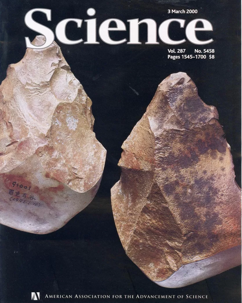《科学》杂志的封面照片的Bose石器工具(正面和背面)。