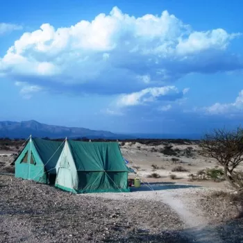 两个绿色帐篷并排在蓬松的白色云朵,飘浮于蔚蓝的苍穹