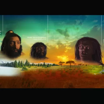 三面临早期人类祖先的物种,尼安德特人,海德堡人,直立人。所有三个面在不同的气候环境。