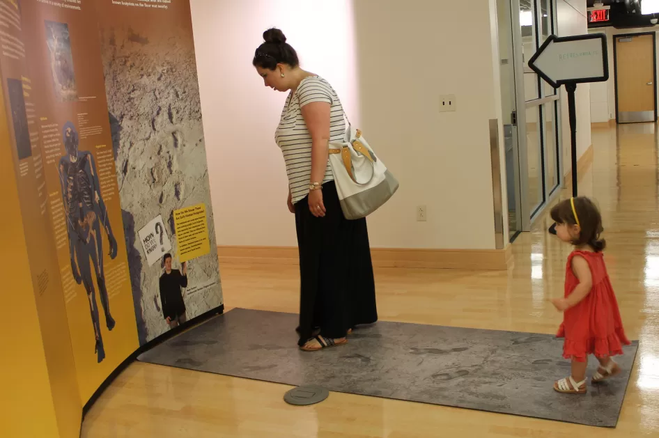 一个女人和小孩观看人类起源的旅游展览在皮奥里亚公共图书馆在皮奥里亚,伊利诺斯州