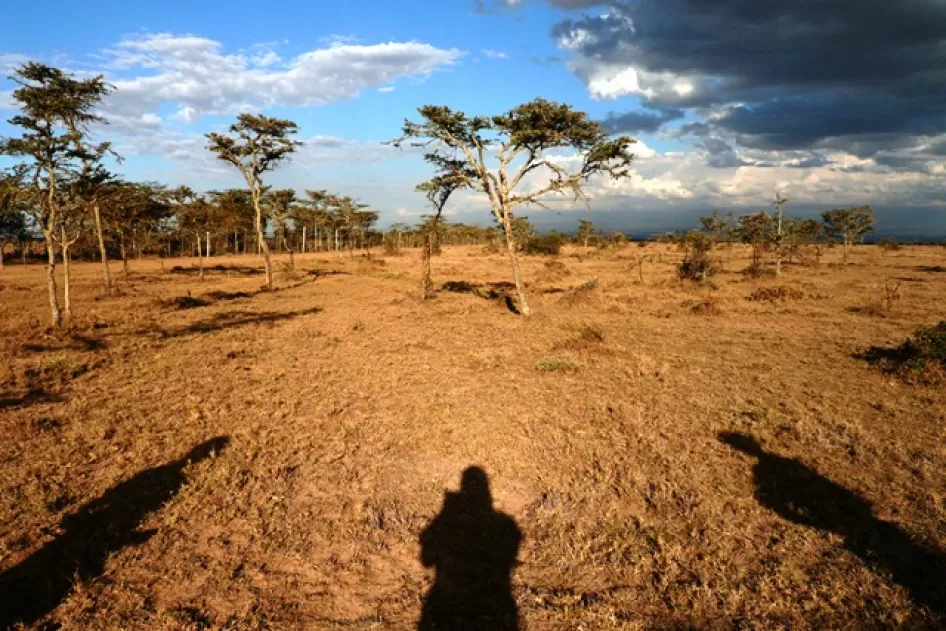 Lanscape Ol Pejeta,肯尼亚与蓝色,多云的天空和树木。三影堂的人的照片
